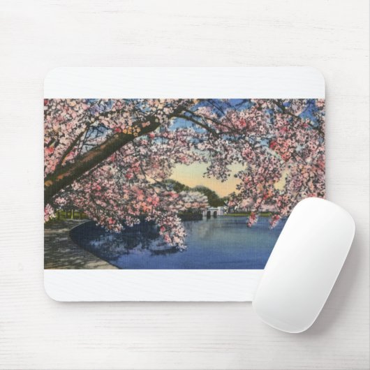 PAU43 Gezeiten- Basin.tif Mousepad (Mit Mouse)