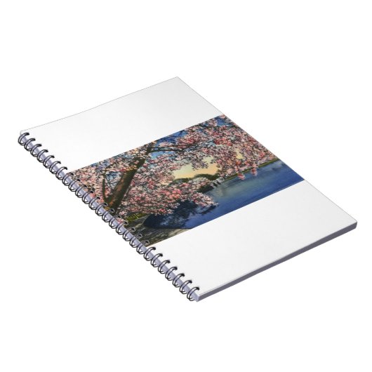 PAU43 Gezeiten- Basin.tif Notizblock (Rechte Seite)