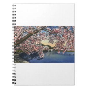 PAU43 Gezeiten- Basin.tif Notizblock