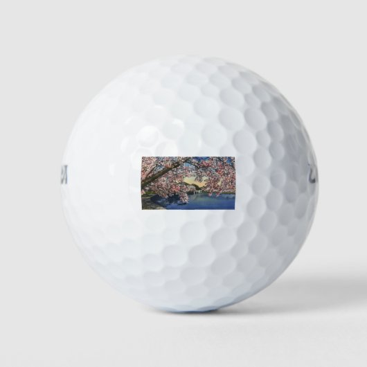 PAU43 Gezeitenbecken.tif Golfball (Vorderseite)