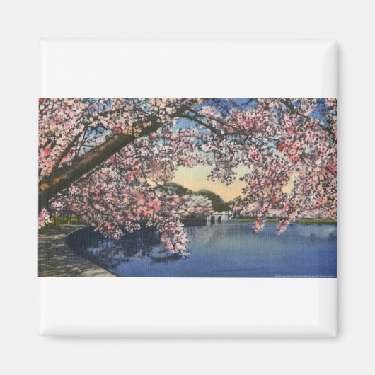 PAU43 Gezeitenbecken.tif Magnet (Vorne)