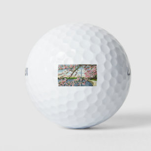 PAU45 Washington Monument 2.tif Golfball