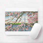 PAU45 Washington Monument 2.tif Mousepad (Mit Mouse)