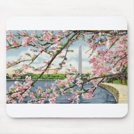 PAU45 Washington Monument 2.tif Mousepad (Vorne)