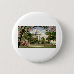 PAU46 US Capitol.tif Button