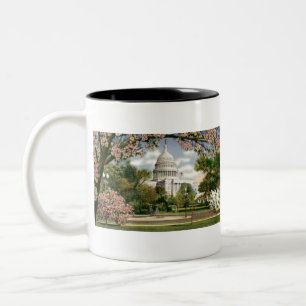PAU46 US Capitol.tif Zweifarbige Tasse