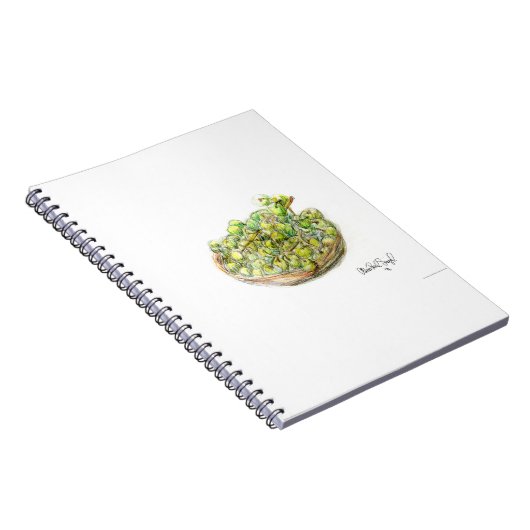 PAU55 Frucht 2.tif Notizblock (Rechte Seite)