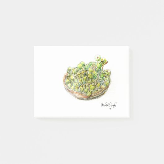 PAU55 Frucht 2.tif Post-it Klebezettel (Vorderseite)