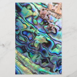 Paua abalone-Muschel