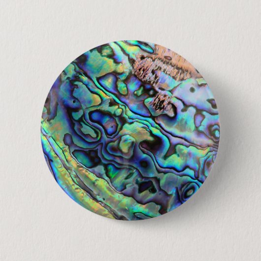 Paua abalone-Muschel Button (Vorderseite)
