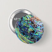 Paua abalone-Muschel Button (Vorne & Hinten)