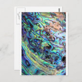Paua abalone-Muschel Postkarte (Vorne/Hinten)