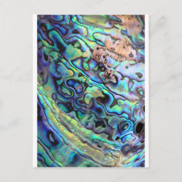 Paua abalone-Muschel Postkarte