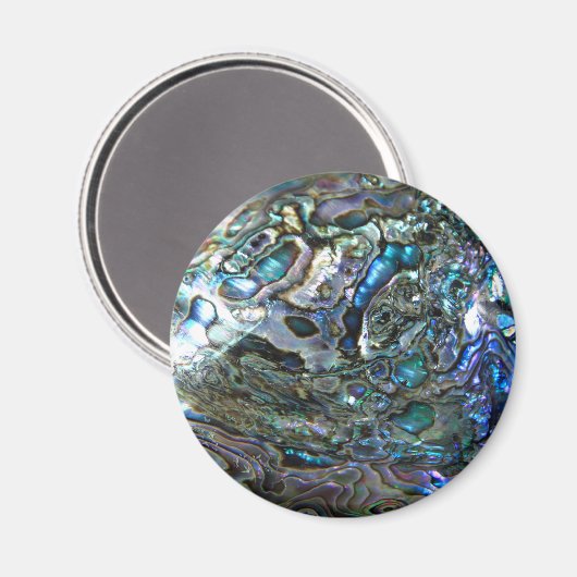 PAUA DESIGN MAGNET (Vorderseite/Rückseite)