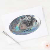 Paua Sticker (Umschlag)