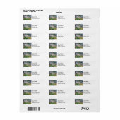 Paul Cezanne - Mont Sainte-Victoire und große Kief (Vorne)