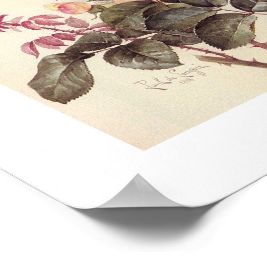 Paul de Longpre Poster (Ecke)