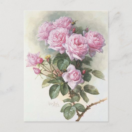 Paul_de_Longpré_-_Rose_und_Hummeln,_1899 Postkarte (Vorderseite)