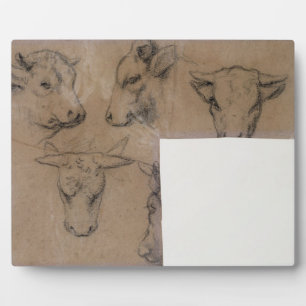 Paul Gauguin Cinq Croquis de tete de vache (penc Fotoplatte