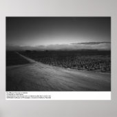 Paul Masson Vineyard bei Soledad von Ansel Adams Poster (Vorne)