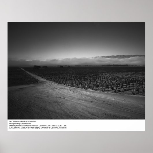 Paul Masson Vineyard bei Soledad von Ansel Adams Poster (Vorne)