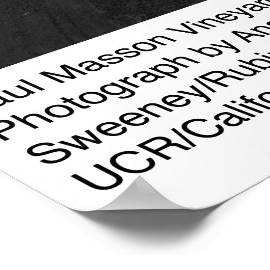 Paul Masson Vineyard bei Soledad von Ansel Adams Poster (Ecke)