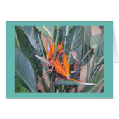 Paul McGehee "Bird of Paradise" Karte (Vorderseite (Horizontal))