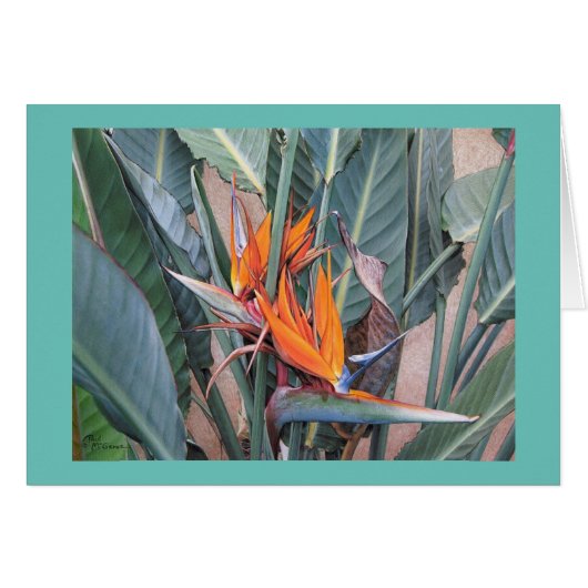 Paul McGehee "Bird of Paradise" Karte (Vorderseite (Horizontal))