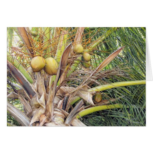 Paul McGehee "Coconuts"-Karte (Vorderseite (Horizontal))