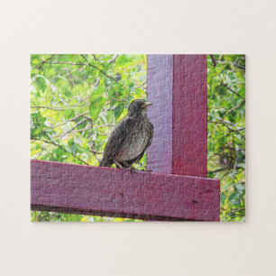 Paul McGehee "Island Visitor" Jigsaw Puzzle