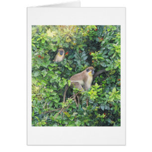 Paul McGehee "Monkeying Around"-Karte