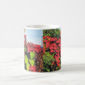 Paul McGehee "Poinsettias" Tasse (Mittel)
