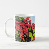 Paul McGehee "Poinsettias" Tasse (Links)
