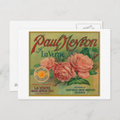 Paul Neyron, La Verne Orange Label Postkarte (Vorne/Hinten)