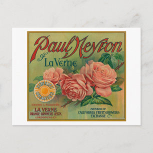 Paul Neyron, La Verne Orange Label Postkarte