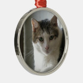 Paul Ornament Aus Metall (Rechts)