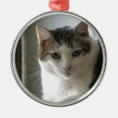 Paul Ornament Aus Metall (Vorne)