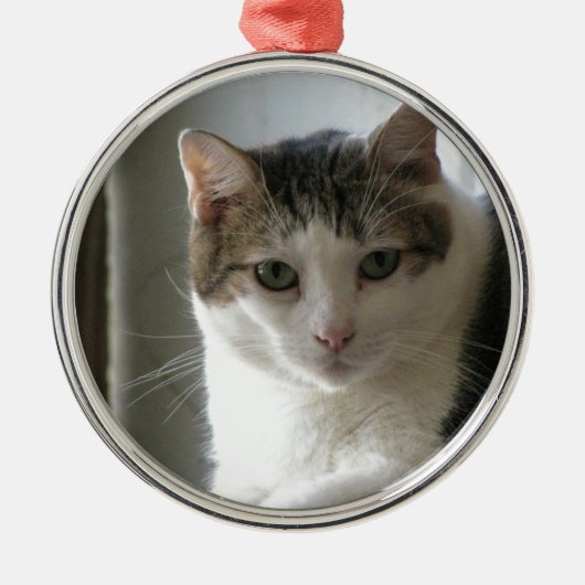 Paul Ornament Aus Metall (Vorne)