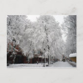 Paul Revere Mall Trees bedeckt mit Winterschnee Postkarte (Vorderseite)