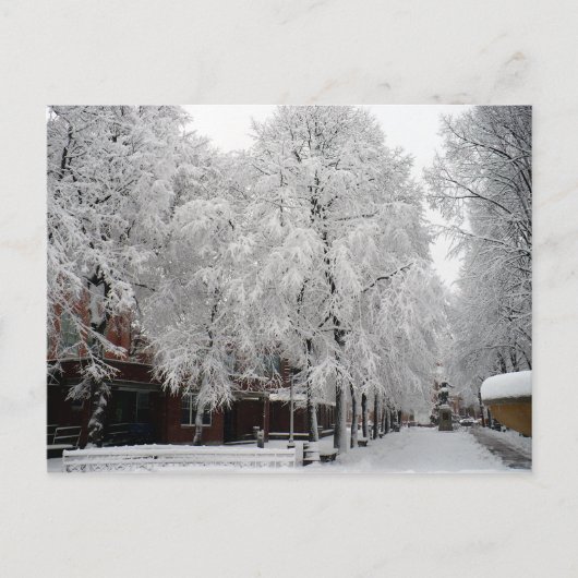 Paul Revere Mall Trees bedeckt mit Winterschnee Postkarte (Vorderseite)