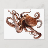 Paul The Octopus Postkarte (Vorderseite)