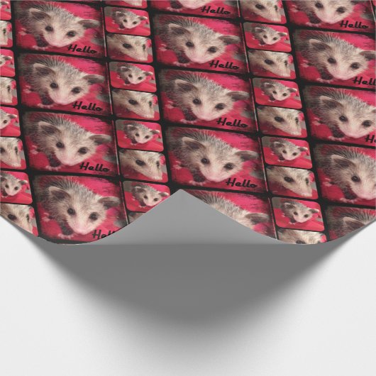 Paulee der kleine O'Possum von Südindiana Geschenkpapier (Ecke)