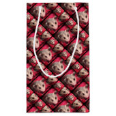 Paulee der kleine O'Possum von Südindiana Geschenktüte (Rückseite)