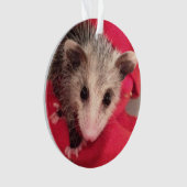Paulee der kleine O'Possum von Südindiana Ornament (Vorderseite)