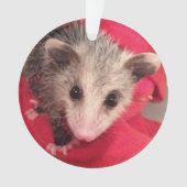 Paulee der kleine O'Possum von Südindiana Ornament (Vorderseite)