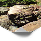 Paulina Creek Falls, Oregon Poster (Ecke)