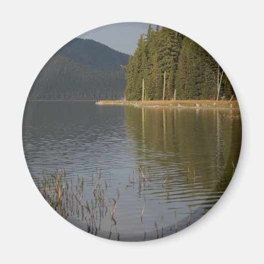 Paulina Lake, Oregon Magnet (Vorne)