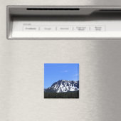 Paulina Peak, Oregon Magnet (In Situ (Geschirrspüler))