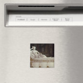Pauline Bonaparte als Venus Triumphant, c.1805-08 Magnet (In Situ (Geschirrspüler))