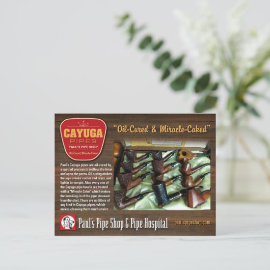 Paul's Cayuga Postcard Postkarte (Stehend Vorderseite)